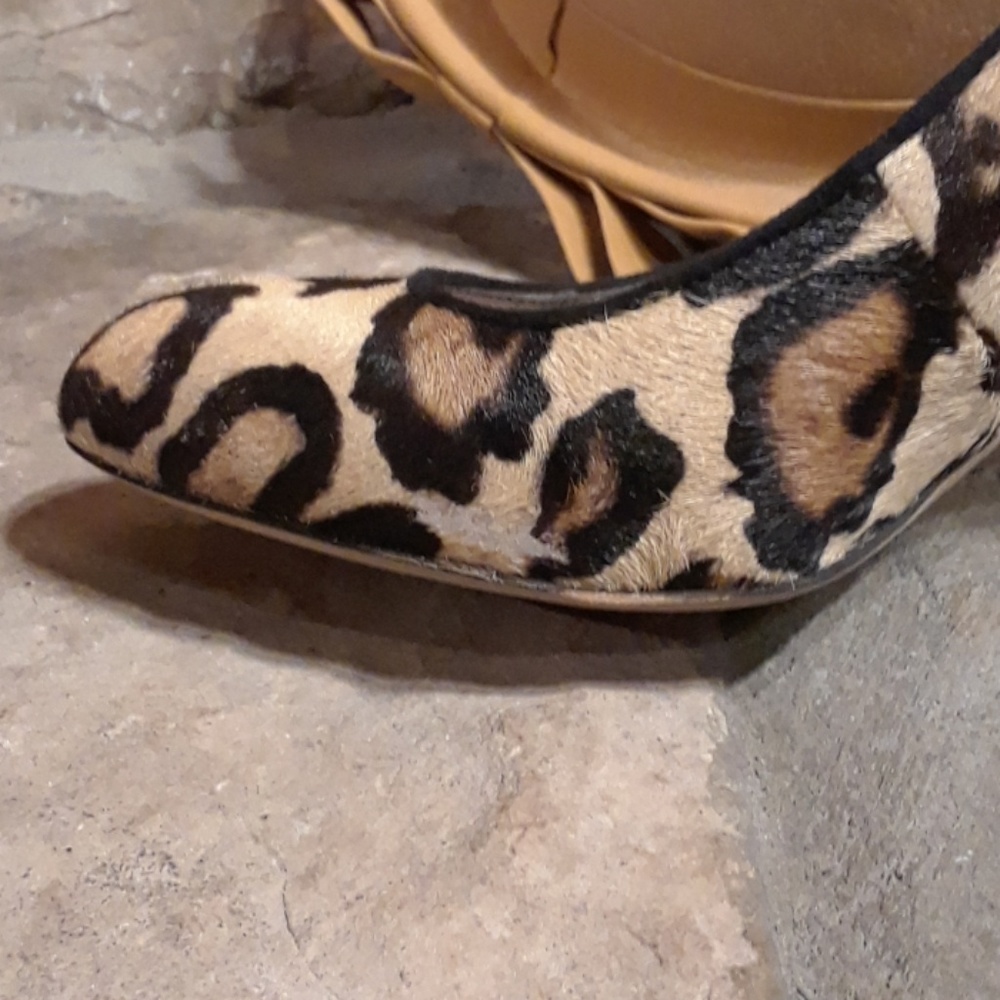 Sam Edelman Leopard Heels - Picture 4 of 8